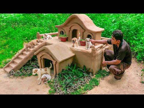 Rescue Poor Puppies From Car Tire And Build The Dog House