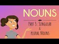 Exploring Singular and Plural Nouns