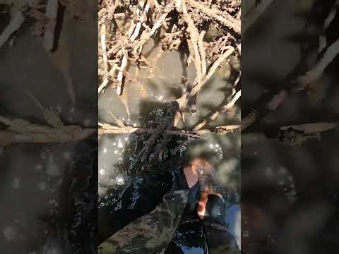 GIANT CRAB WITH HANDS  #fishing #fishingfood #catchncook #survival #seafood #cooking  #alonesurvival