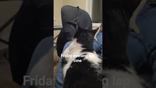 Friday evening lap time #cat