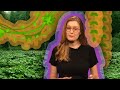 Invasive Plants and Their Effects