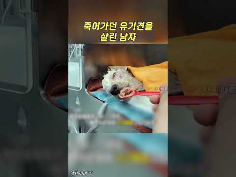 죽어가던 유기견을 살린 남자