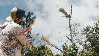 Puerto Rico , Caza De Garrobos Monstruo En Un Pantano