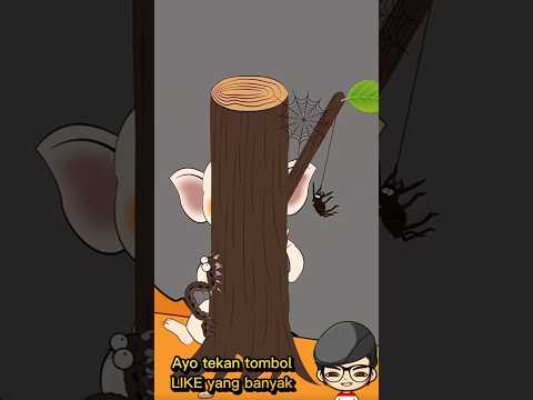 Dimana ulat bersembunyi?