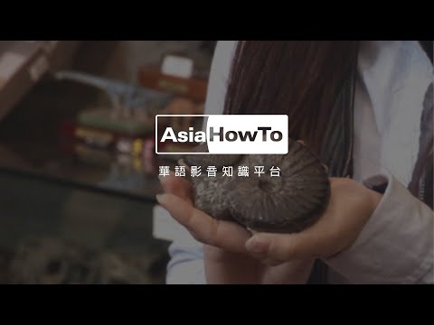 【AsiaHowTo】｜認識化石 - YouTube