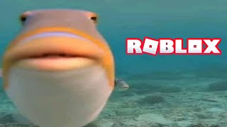 playin fisch for a lil bit (im addicted)