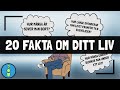 Genomsnittliga livsstatistik för människor