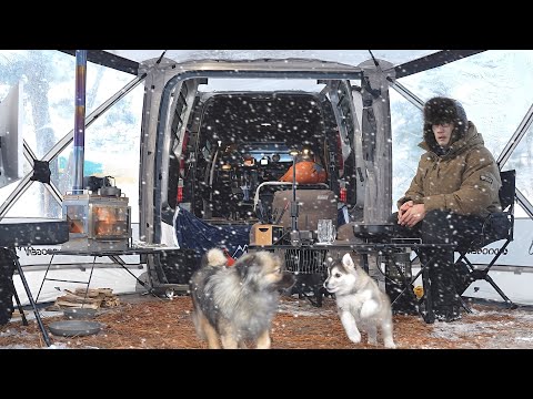 WINTER SNOW CAMP with HUSKY PUPPY. 60-SECOND TENT and WOOD STOVE