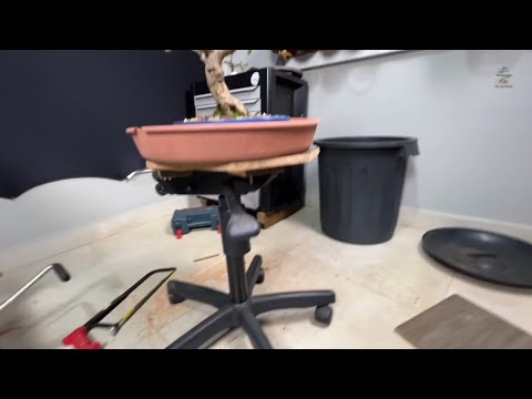 APROVEITANDO CADEIRA VELHA E FAZENDO UMA MESA GIRATÓRIA DE BONSAI