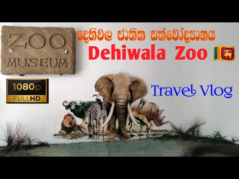 Dehiwala Zoo|Dehiwala Zoo Animals Video|Dehiwala Zoo Snake|Dehiwala Zoo In Colombo🇱🇰