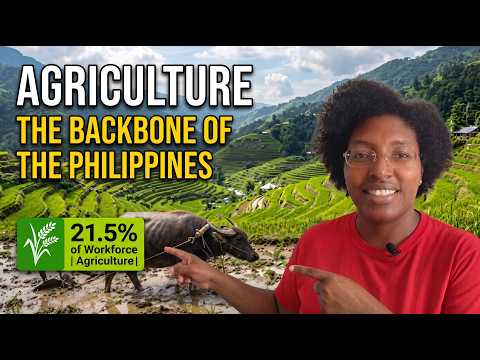 The Backbone of the Philippines: Decoding Agriculture's Impact