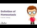 Homeostasis and Its Mechanisms