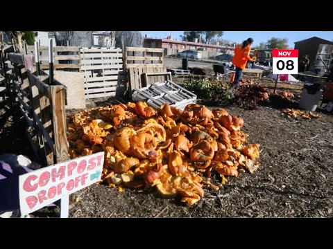 VIDEO STORY: 'Pumpkin Smash' keeps pumpkins out of the landfill