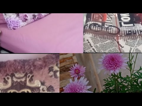 تنظيف الصالون وغرفة النوم يوم جميل كل طاقة ايجابية
