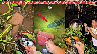 7 Hari berpetualang menangkap ikan, udang dan burung perkutut liar !!!