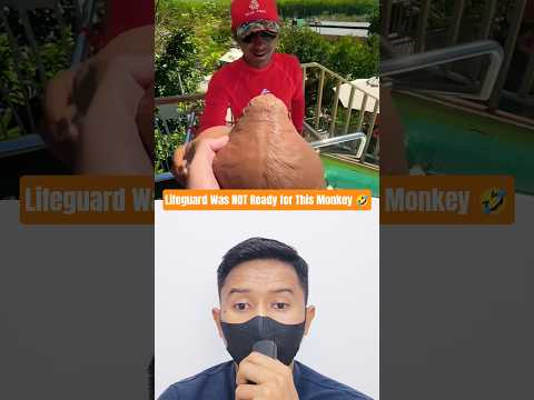 Monkey vs Lifeguard⁉️ MeAndMyBroMonkey