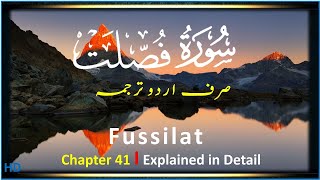 Surah Fussilat | Al Quran | Urdu Translation