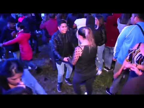 Tus Jefes No Me Quieren (En Vivo) Toluca Grupo Ensamble