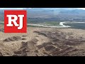 Endemic Species and Wildlife in Nevada