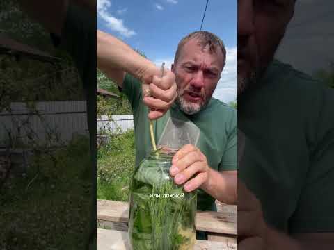 Это вам не Coca-Cola! Наш древнейший напиток - Сурица. Вкусный, полезный. Делаю своими руками🙌