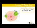 Tissue Engineering and Biological Systems