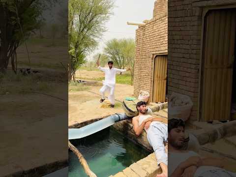 Water line Cat🥺 #funny #paisayenyasathiupay #comedy #whowillbemylifepartnerta #funnnnn #fun