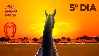 42° EXPOSIÇÃO NACIONAL DO CAVALO MANGALARGA MARCHADOR | 5° DIA Pepê Figueiredo