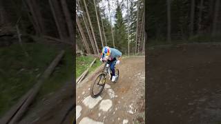 Uphill on a Downhill bike