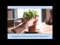 Water Cycle Processes and Interactions