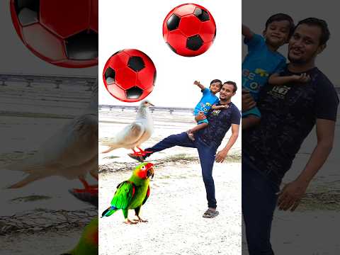 Rounding Football to Duck, Peacock, Pigeon & Parrot - Birds names magic video 1080