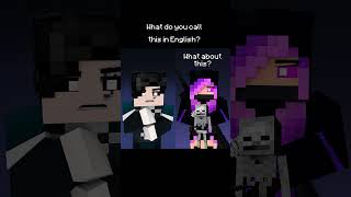 What do you call this Lance? #minecraftmemes #minecraft