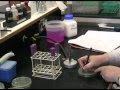 Microbiology Lab Safety Practices