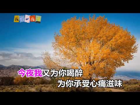 趙洋  今夜又為你喝醉 KTV