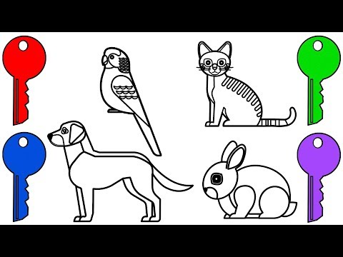 Wrong Keys with Crying Pets Dog, Cat, Parrot & Rabbit - Coloring for Kids & Toddlers