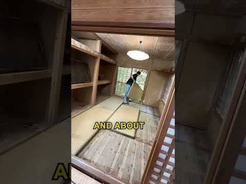 Day 48 Renovating my $25K Abandoned Japanese House #2025