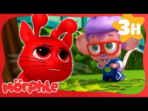 Winston the Rat | Morphle's Family | My Magic Pet Morphle | Kids Cartoons