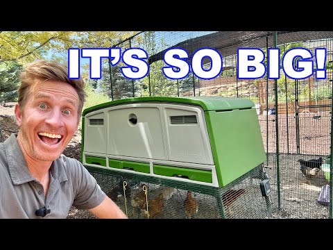 The best Chicken Cage on the market.  The Omlet Eglu Pro