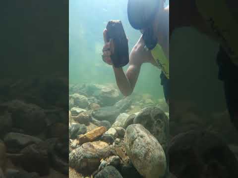 Objetos perdidos en el río mas cristalino del mundo 😱 #DiegoDiaz
