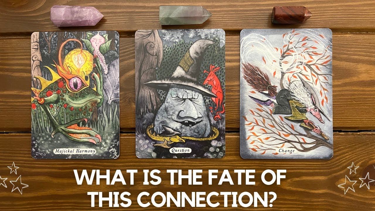 What is the Fate of this Connection?
