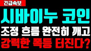 시바이누 코인 조정 흐름 완전히 깨고 강력한 폭등 온다?