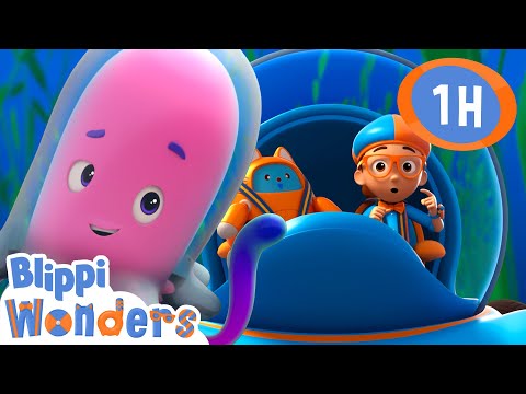 Blippi’s Big Blue Ocean Day! 🌊🐬✨ | Blippi Wonders Educational Videos for Kids