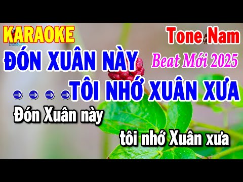 Karaoke Đón Xuân Này Tôi Nhớ Xuân Xưa Tone Nam – Nhạc Xuân Beat Dễ Hát Nhất 2025