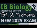 Protein Structure and Function Concepts