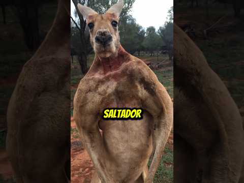 Estos son los bebés más diminutos de animales gigantes… y el último es del tamaño de un guisante 😨
