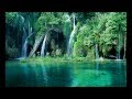 ვიდეო გაკვეთილის ქვიზი
