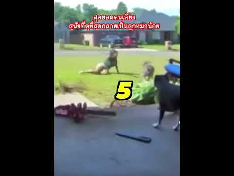 สุดยอด เอาอยู่ของจริงต้องแบบนี้แหละ