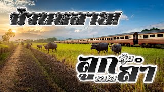 รวมเพลงม่วนหลาย! รวมฮิตลูกทุ่งหมอลำ เฉลิพล - ดอกรัก - ปอยฝ้าย