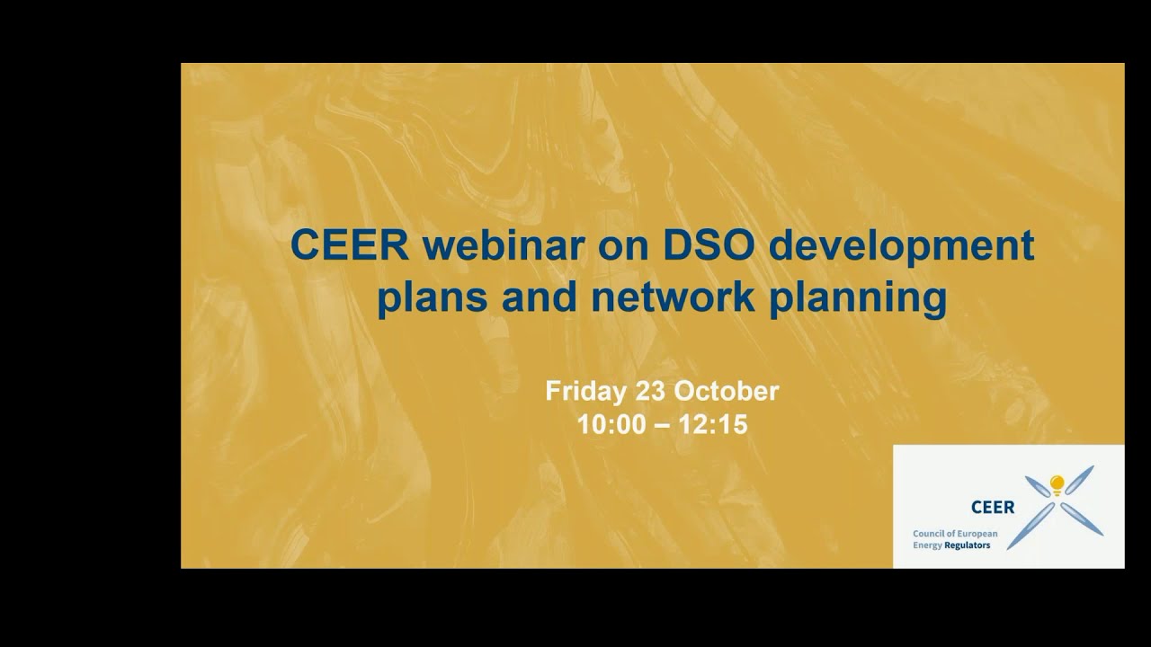 CEER Webinar on DSO Development Plans and Network Planning