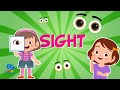 Understanding the Human Eye