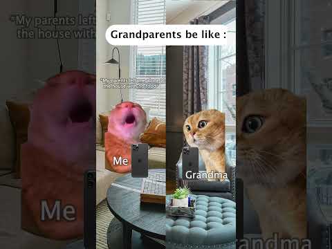 Cat memes 🐱  Grandparents be like #catmemes #relatable #cat #catshorts #shorts